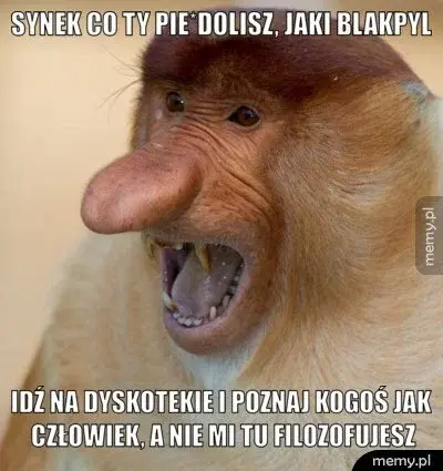 frezjawdoniczce - @Leschek: