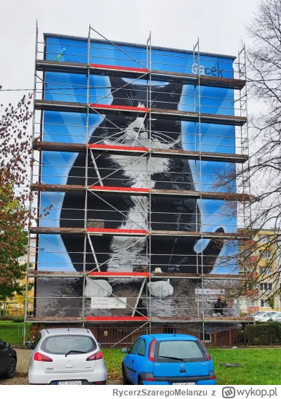 RycerzSzaregoMelanzu - Nowy mural z kotem gackiem ( ͡° ͜ʖ ͡°)
#szczecin