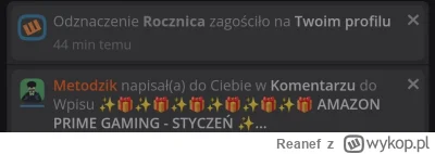Reanef - I co ja robię tu, uu... #heheszki #glupiewykopowezabawy #rocznica #wykop