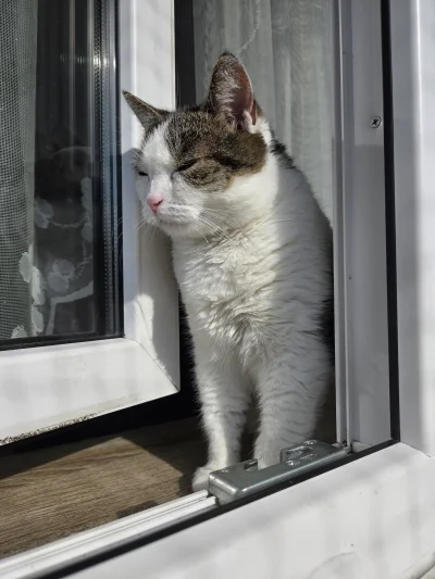 Solsith - @jPaolo2: ( ͡° ʖ̯ ͡°)