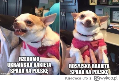 Kierowca-ufo - Gdy coś spadnie w Polsce, r0sjanie z tagu be like

#ukraina #r0sja #po...