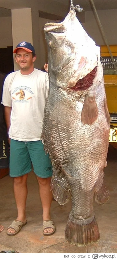 kotdodrzwi - #morze #paragonygrozy #zaelesie #gastronomia
Ja w ogóle nie kumam, jak b...