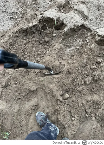 DorodnyTucznik - #silownia #mikrokoksy #budujzwykopem 
No to cardio ( ͡° ͜ʖ ͡°)