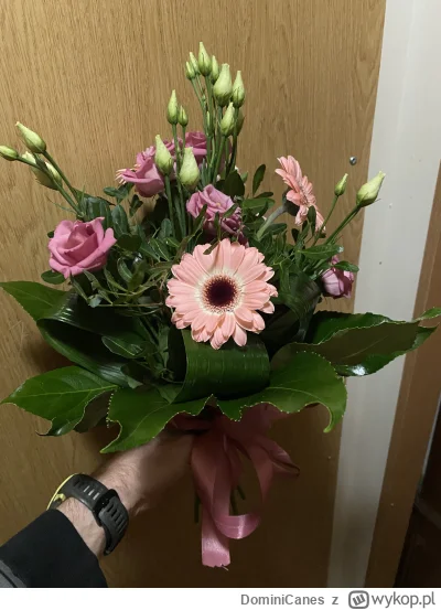 DominiCanes - Nie wiem który bandzwol powiedział, że na pierwszą wizytę na siłowni da...