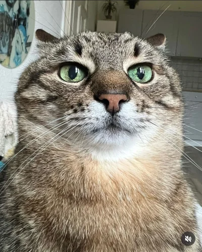 Lemmonix - Dawno nie było postowania Stepana, więc czas zapostować Stepana! ( ͡° ͜ʖ ͡...