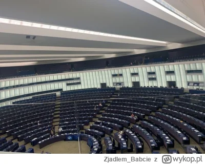 Zjadlem_Babcie - Debata o „aferze” wizowej w Parlamencie Europejskim. #polityka #beka...