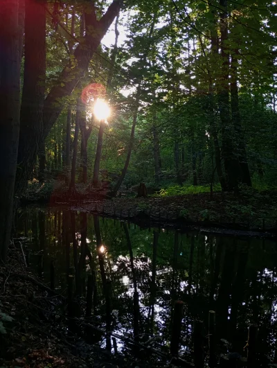 drobnenataryfe - #spierdotrip