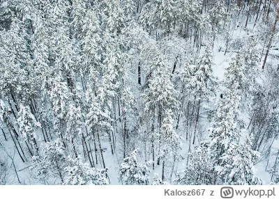 K.....7 - Te 10km to max jakby naprawdę go zwiało. Bardziej 5km.
Do tego nie wiem czy...