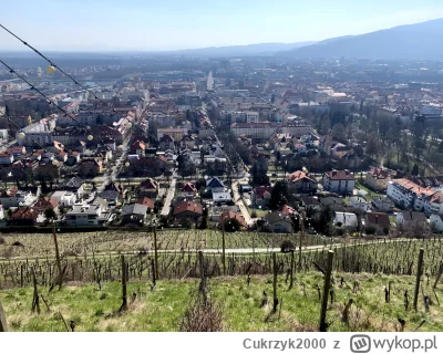 Cukrzyk2000 - Jestem w przepięknym Mariborze, w Słowenii. Miasto mnie zachwyciło od s...