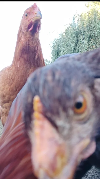 MiniKierownik - @MiniKierownik ,