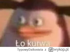 TypowyDaltonista - @Zulf czemu wcześniej nie mówiłeś, że wielosztuki wlatują