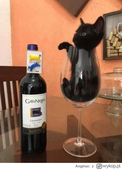 Angmac - Czy Wam też pobrało tylko 45 GB Jedi Survivor? pic dla atencji
#starwars #xb...