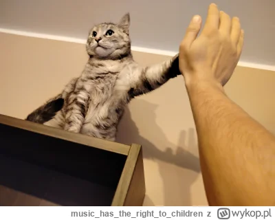 musichastherightto_children - To jest Dziubek.
Dziubek nie ugryzie dziś żadnego dziec...