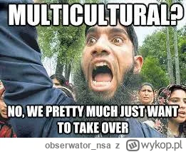 obserwator_nsa - Chcieli multikulturalizmu, to co się teraz dziwić ( ͡° ͜ʖ ͡°)
