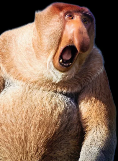 pawello321 - SSpiegi roSSyjSSkie w---------ć na kreml!!!! oni za nas walczął, musimy ...