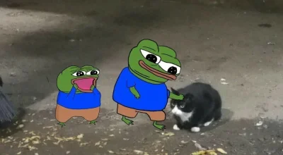 Arutam2002 - #przegryw huop chciałby koteła pogłaskać eh