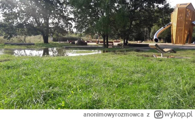 anonimowyrozmowca - #powodz #wroclaw

gdy odezwie sie trzeci dzwon mamut napije sie w...