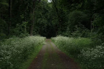 raeurel - i miss those days