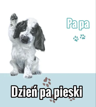 pogop - A wiecie, że dzisiaj jest też dzień papieski?

#pogopsuszy #heheszki #suchar ...