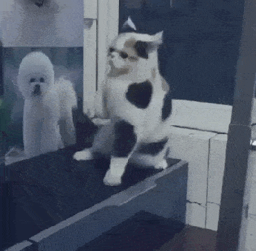 Umeraczyk - Walka z samym sobą
Z demonami przeszłości 
Mrokiem duszy