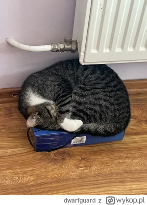 dwarfguard - @atol to jak ten agent xD