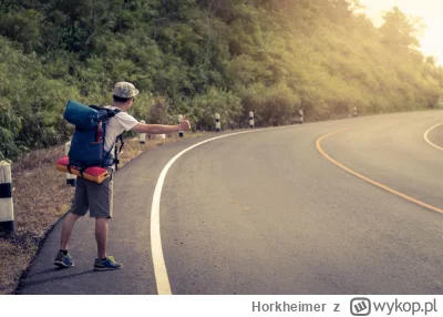 Horkheimer - Mirki zaznajomione z #autostop - takie pytanie ( ͡° ͜ʖ ͡°) Czy ktoś podr...