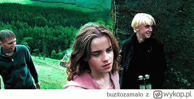 buzitozamalo - #harrypotter