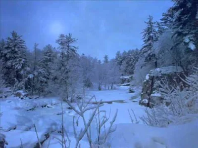 Netanstachu - Szkoda że cd z tym pięknym utworem jest takie drogie.
dawn of a winter ...