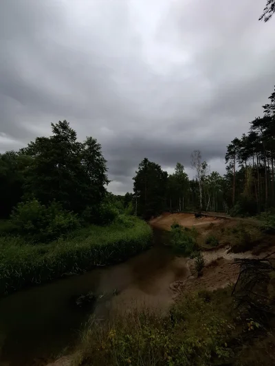 Outism0 - #przegryw #spierdotrip