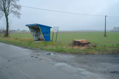 Festiwal_Panczy - Każdy z nas był w tym miejscu.

SPOILER

#estetyczneobrazki #fotogr...