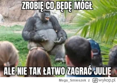 Mega_Smieszek