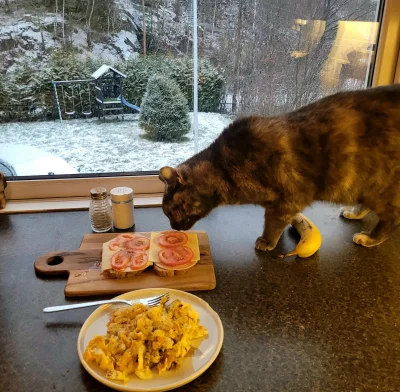 Recydywa - N------i śpijcie dobrze i pijcie dużo wody, a trzeźwych zapraszam na jajów...