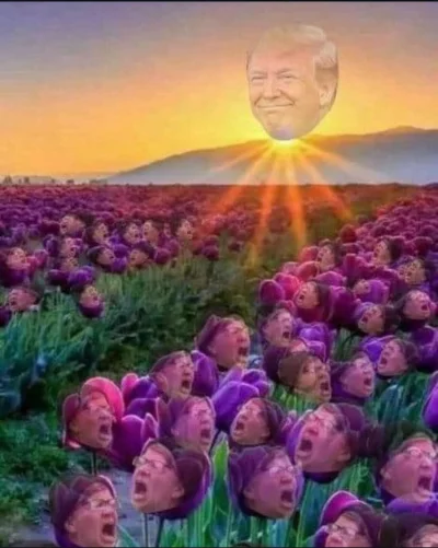 Sliski_vacek - Kocham to wycie polskich lewakow i peowcow na haslo Trump xD 

Dodaj j...