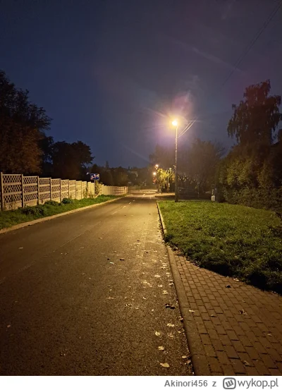 Akinori456 - Odbywany jest właśnie samotny spacer...
Z nikim...
Sam, jak zwykle...
(╯...