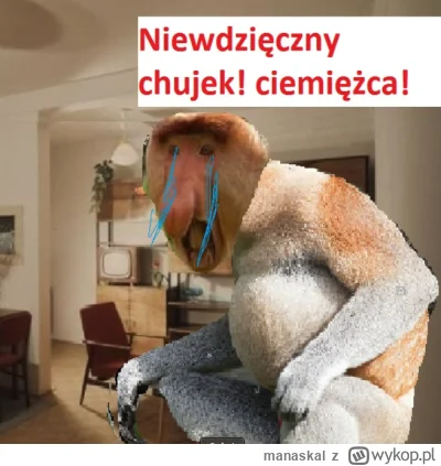 manaskal - @Cerb3rusPL: