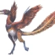 Archeopteryx_litographica