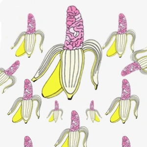 BananaBrain