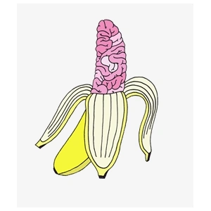 Banana_brain