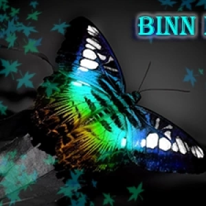 Binn_k