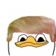 DolanTrump