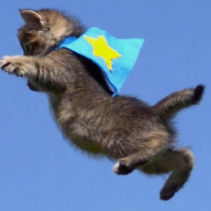 FlyinCat