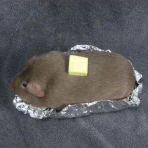 FuryPotato