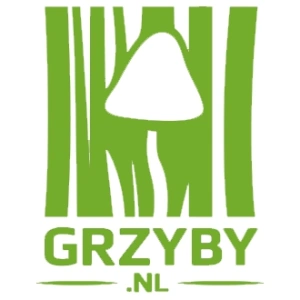 Grzyby_nl