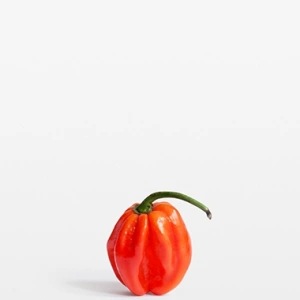 Habanero