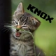 Knox_