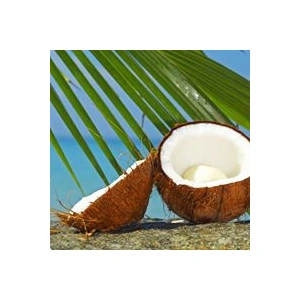 Kokosowyraj