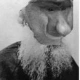 LewTolstoj