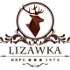 Lizawka_HRPC