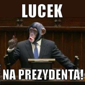 Lucek_N_N