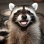 Mandy_Raccoon